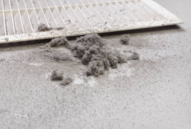 Best Professional Duct Cleaning Services  in Cartervle, IL