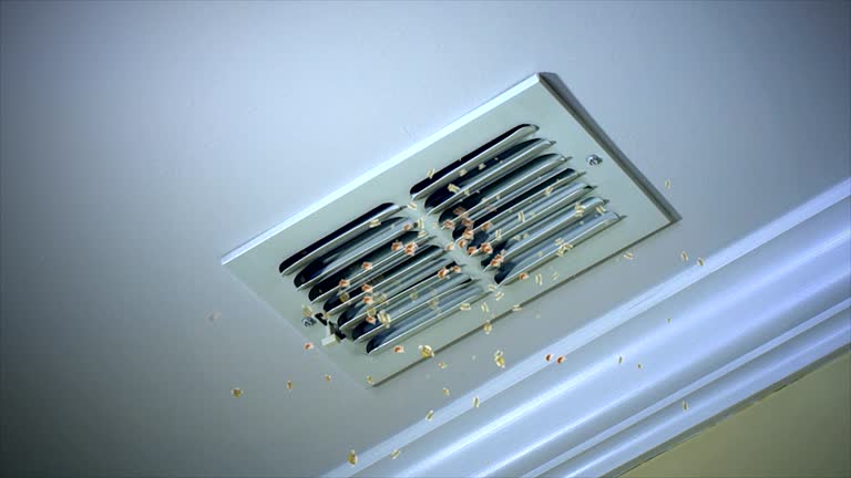Best Affordable HVAC Duct Cleaning  in Cartervle, IL
