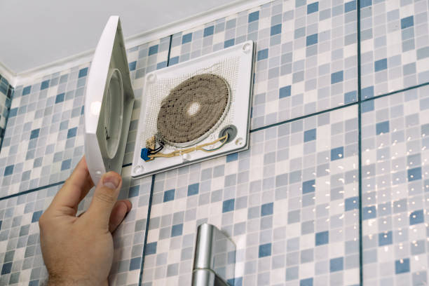 Best Residential Air Duct Cleaning  in Cartervle, IL
