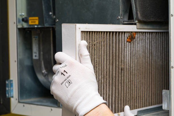 Best HVAC Duct Inspection Services  in Cartervle, IL