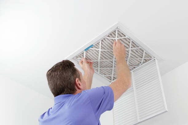 Best Duct Cleaning for Homes  in Cartervle, IL